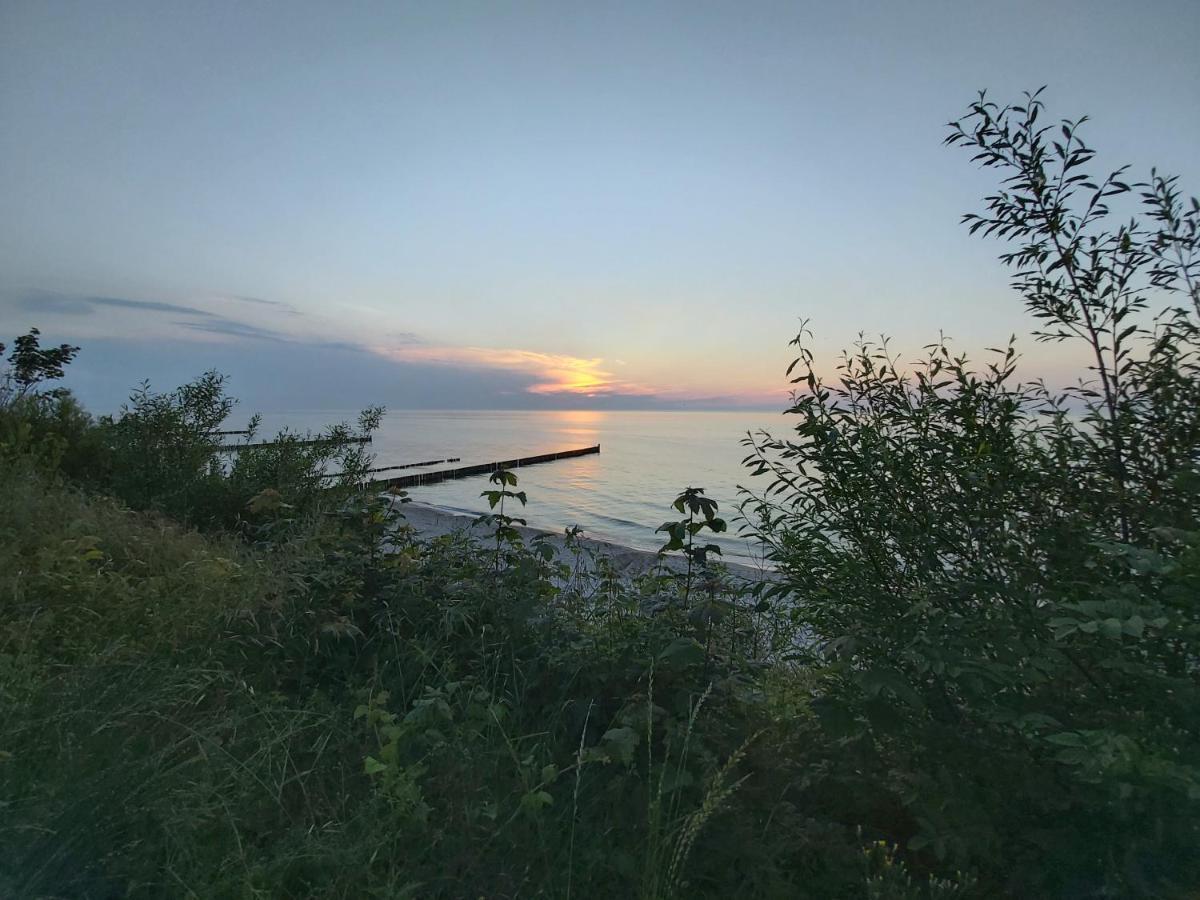Willa Wieniotowo Apartamenty Przy Lesie I Plazy Ap Am Wald Und Strand Ustronie Morskie Εξωτερικό φωτογραφία