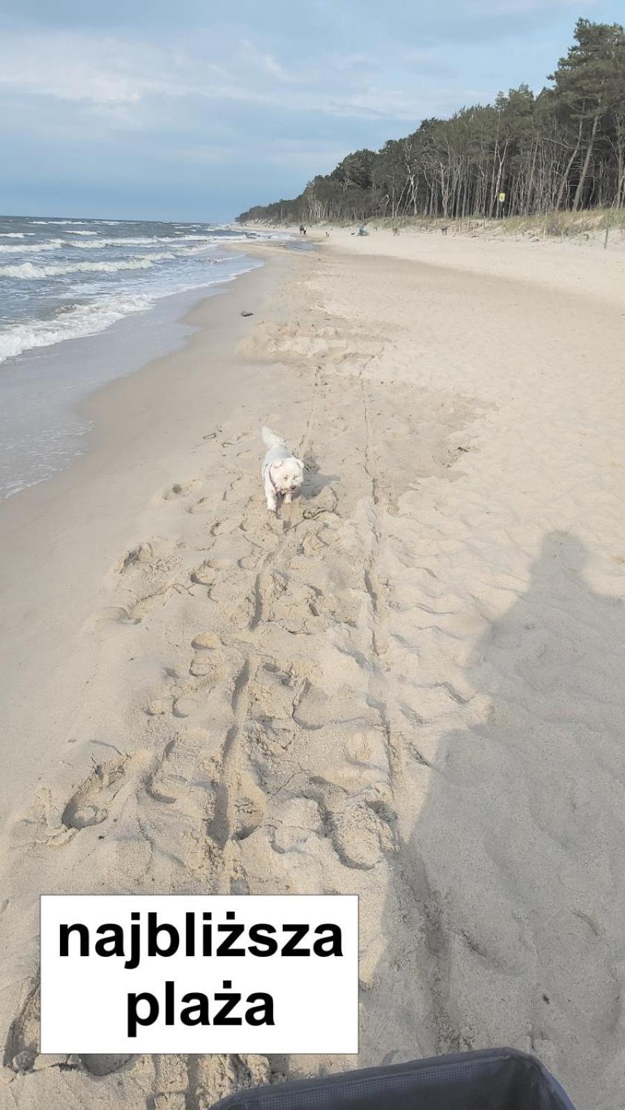 Willa Wieniotowo Apartamenty Przy Lesie I Plazy Ap Am Wald Und Strand Ustronie Morskie Εξωτερικό φωτογραφία